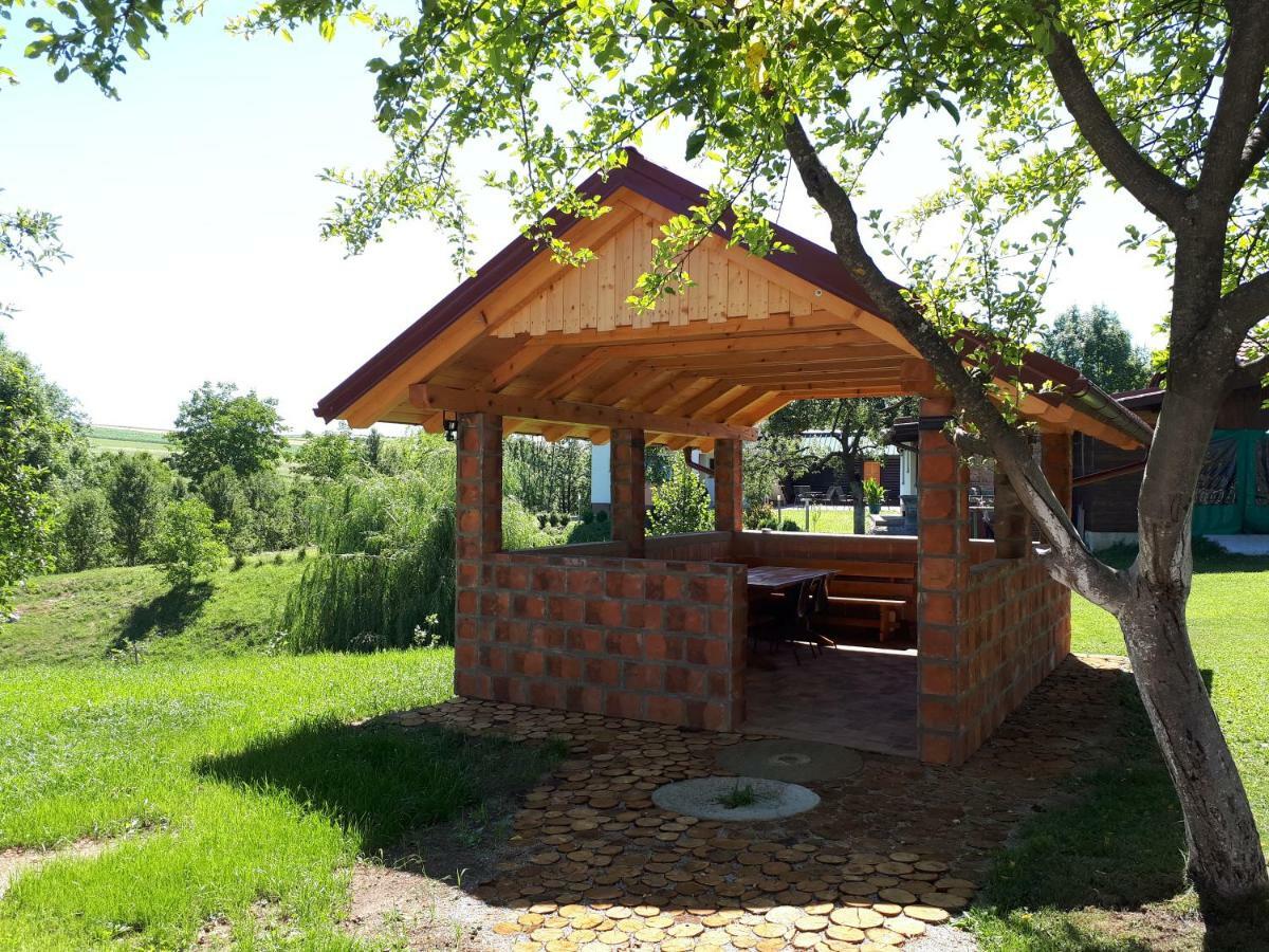 Apartment House Jole Drežnik Grad